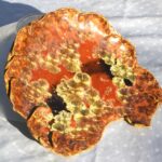 koraal met kristalglazuur